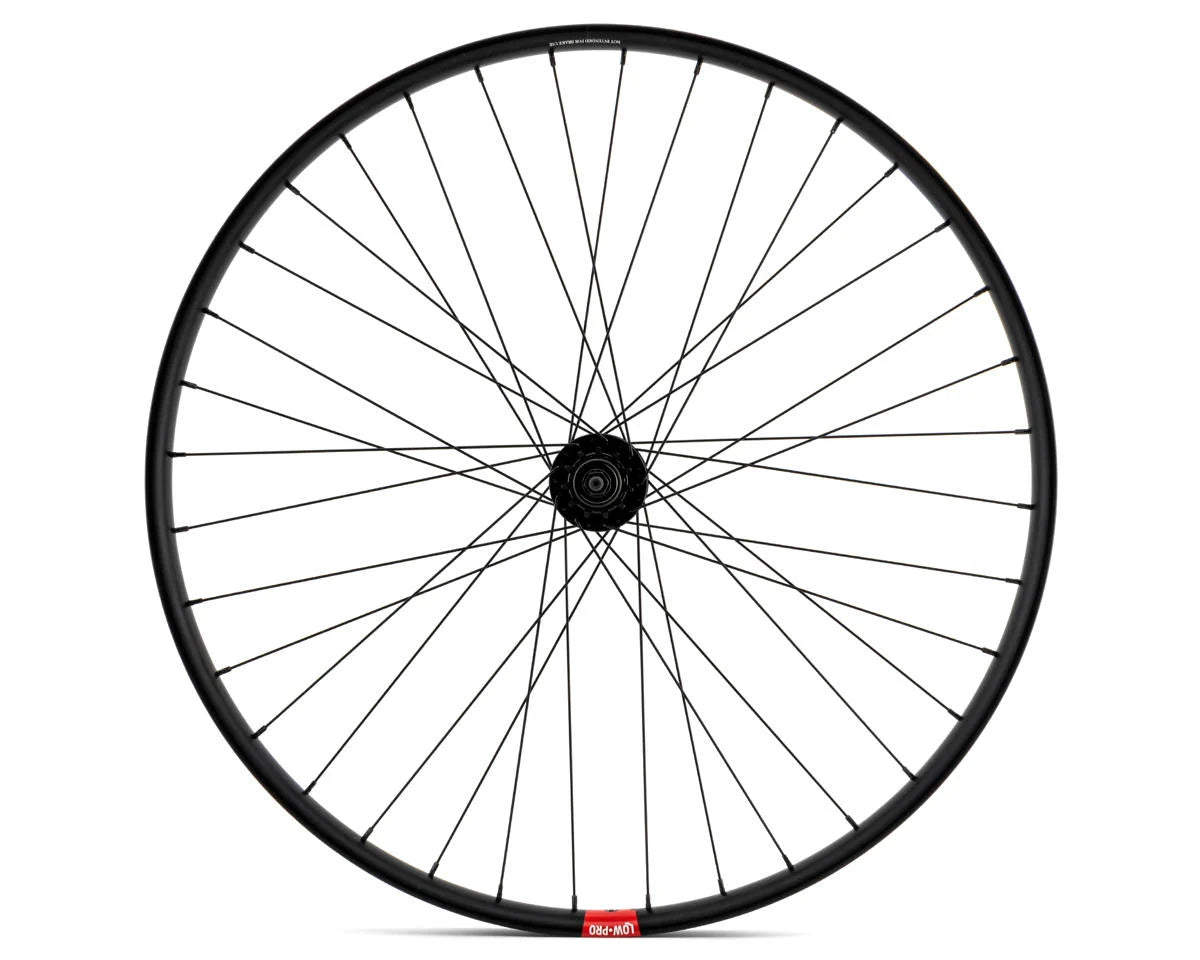 29" RAMPAGE "BIKE LIFE" DISK WHEELS