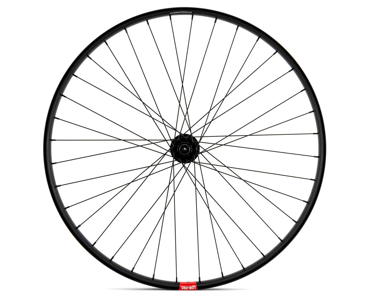 29" RAMPAGE "BIKE LIFE" DISK WHEELS